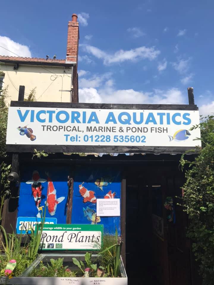 Victoria Aquatics printed shop sign above the entrance