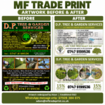 before and after dp tree