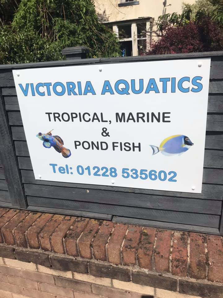 Victoria Aquatics Alu dibond signage